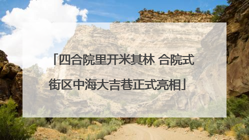 四合院里开米其林 合院式街区中海大吉巷正式亮相