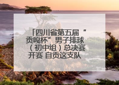 四川省第五届“贡嘎杯”男子排球（初中组）总决赛开赛 自贡这支队伍打进半决赛