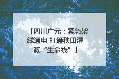 四川广元：紧急架线通电 打通秧田灌溉“生命线”