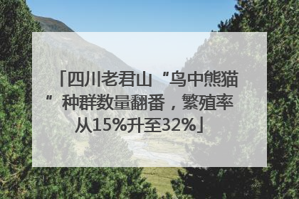 四川老君山“鸟中熊猫”种群数量翻番，繁殖率从15%升至32%