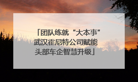 团队练就“大本事” 武汉霍尼特公司赋能头部车企智慧升级