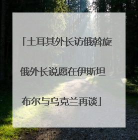 土耳其外长访俄斡旋 俄外长说愿在伊斯坦布尔与乌克兰再谈
