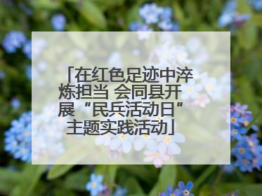 在红色足迹中淬炼担当 会同县开展“民兵活动日”主题实践活动