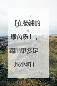 在杨浦的绿茵场上，踢出更多足球小将