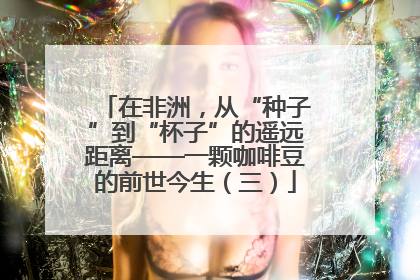 在非洲，从“种子”到“杯子”的遥远距离——一颗咖啡豆的前世今生（三）
