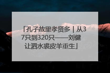 孔子故里孝贤多｜从37只到320只——刘健让泗水裘皮羊重生