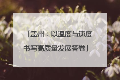 孟州：以温度与速度书写高质量发展答卷