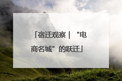 宿迁观察｜“电商名城”的跃迁