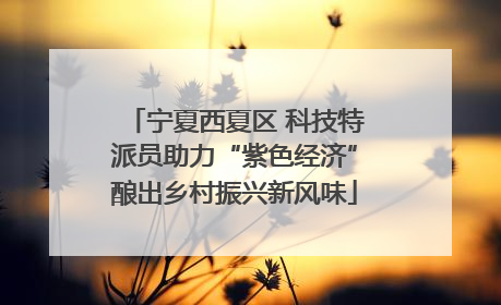 宁夏西夏区 科技特派员助力“紫色经济”酿出乡村振兴新风味