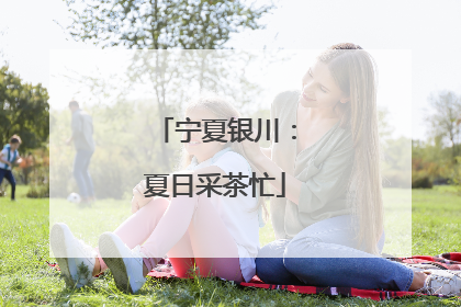 宁夏银川：夏日采茶忙