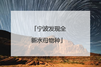宁波发现全新水母物种