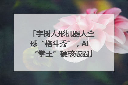 宇树人形机器人全球“格斗秀”，AI“拳王”硬核破圈