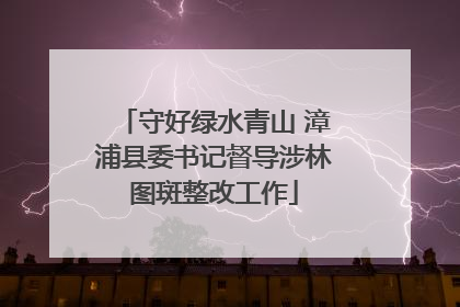 守好绿水青山 漳浦县委书记督导涉林图斑整改工作