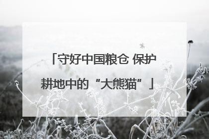守好中国粮仓 保护耕地中的“大熊猫”