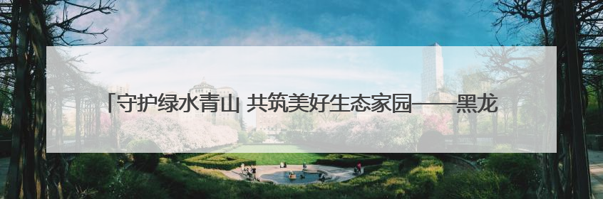 守护绿水青山 共筑美好生态家园——黑龙江省丰林县扎实推进生物多样性保护工作