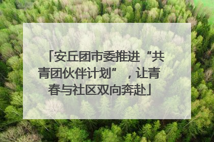 安丘团市委推进“共青团伙伴计划”，让青春与社区双向奔赴