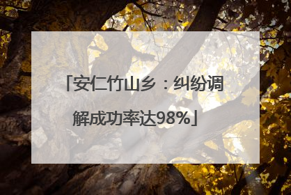 安仁竹山乡：纠纷调解成功率达98%