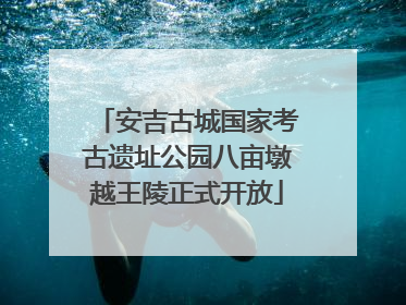 安吉古城国家考古遗址公园八亩墩越王陵正式开放