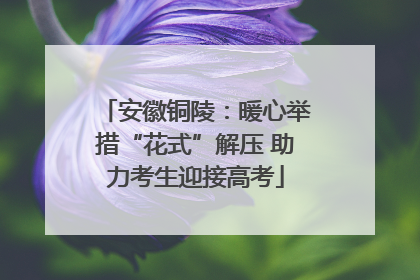 安徽铜陵：暖心举措“花式”解压 助力考生迎接高考