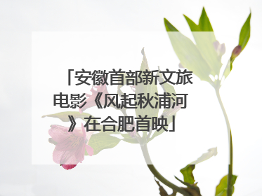 安徽首部新文旅电影《风起秋浦河》在合肥首映