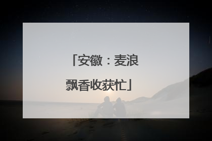 安徽：麦浪飘香收获忙