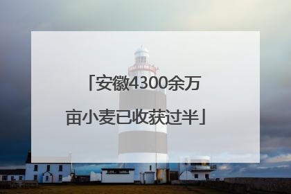 安徽4300余万亩小麦已收获过半