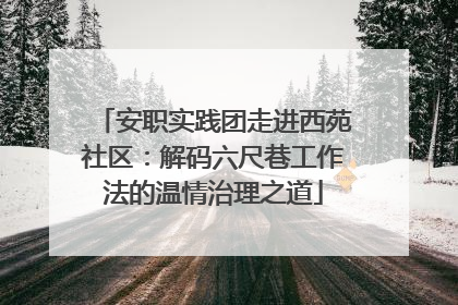 安职实践团走进西苑社区：解码六尺巷工作法的温情治理之道