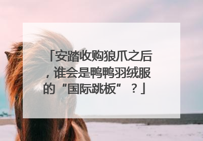 安踏收购狼爪之后，谁会是鸭鸭羽绒服的“国际跳板”？