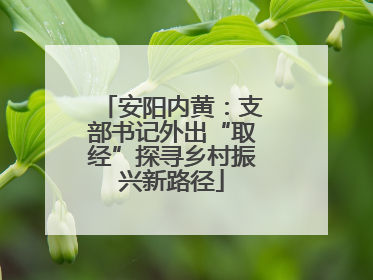 安阳内黄：支部书记外出“取经”探寻乡村振兴新路径