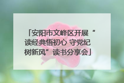 安阳市文峰区开展“读经典悟初心 守党纪树新风”读书分享会