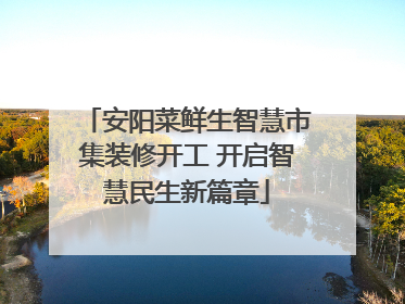 安阳菜鲜生智慧市集装修开工 开启智慧民生新篇章