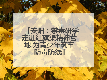 安阳：禁毒研学走进红旗渠精神营地 为青少年筑牢防毒防线