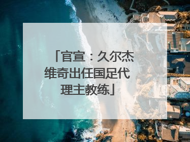 官宣：久尔杰维奇出任国足代理主教练