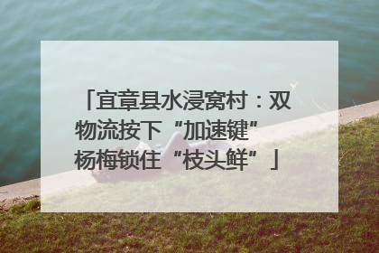 宜章县水浸窝村：双物流按下“加速键” 杨梅锁住“枝头鲜”