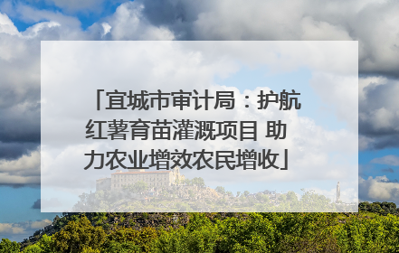 宜城市审计局：护航红薯育苗灌溉项目 助力农业增效农民增收