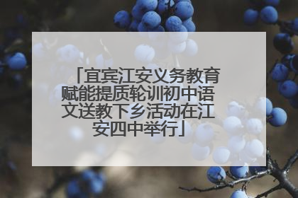 宜宾江安义务教育赋能提质轮训初中语文送教下乡活动在江安四中举行