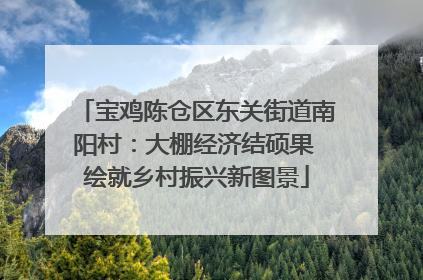 宝鸡陈仓区东关街道南阳村：大棚经济结硕果 绘就乡村振兴新图景