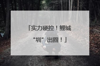 实力硬控！鲤城“圳”出圈！