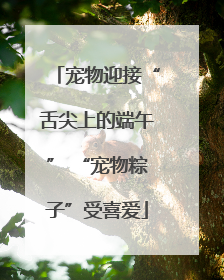 宠物迎接“舌尖上的端午” “宠物粽子”受喜爱