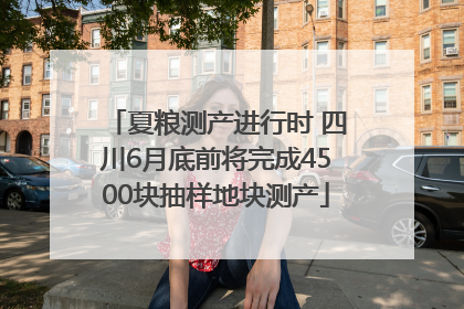夏粮测产进行时 四川6月底前将完成4500块抽样地块测产