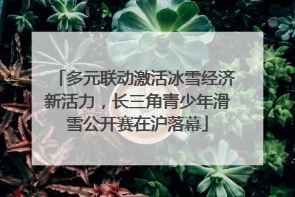 多元联动激活冰雪经济新活力，长三角青少年滑雪公开赛在沪落幕
