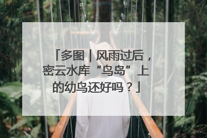 多图｜风雨过后，密云水库“鸟岛”上的幼鸟还好吗？