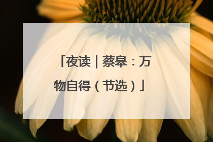 夜读｜蔡皋：万物自得（节选）