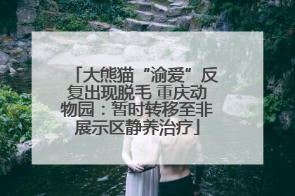 大熊猫“渝爱”反复出现脱毛 重庆动物园：暂时转移至非展示区静养治疗