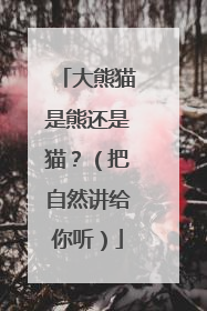 大熊猫是熊还是猫？（把自然讲给你听）