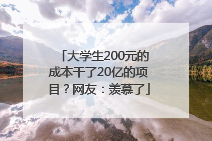 大学生200元的成本干了20亿的项目？网友：羡慕了