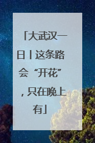 大武汉一日丨这条路会“开花”，只在晚上有