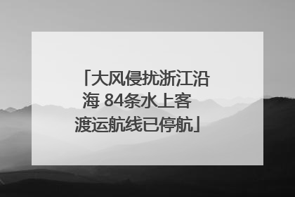 大风侵扰浙江沿海 84条水上客渡运航线已停航