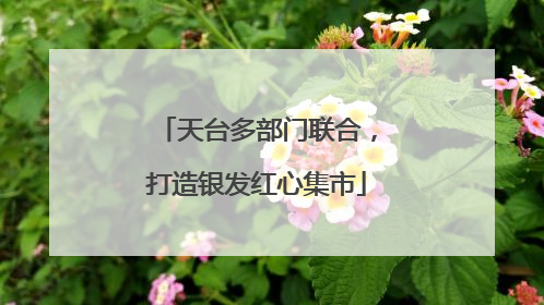 天台多部门联合，打造银发红心集市