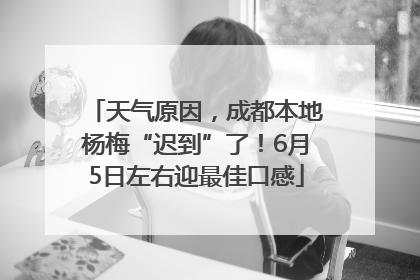 天气原因，成都本地杨梅“迟到”了！6月5日左右迎最佳口感